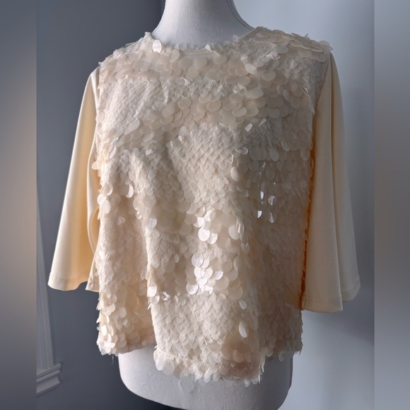 Gracia Cream Sequin Blouse - Picture 12 of 13